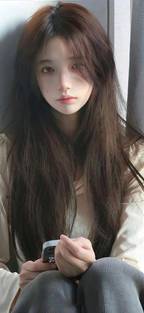 藤本树